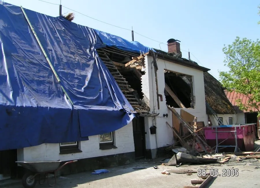 Das Storchennest mit neuem Reetdach im Jahr 2005