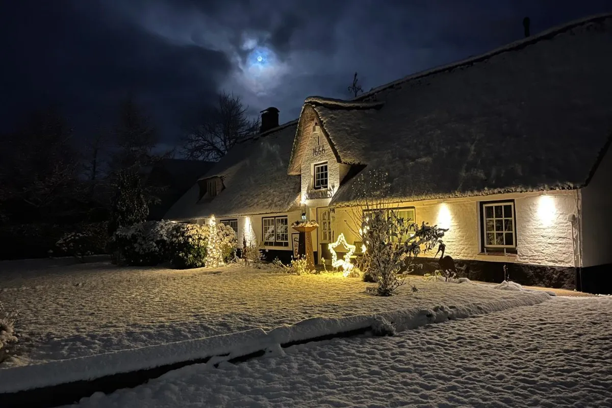 Das Storchennest Schafflund im Winter